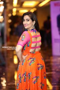 Manjusha at Lakshmis NTR Movie Trailer Launch (4)