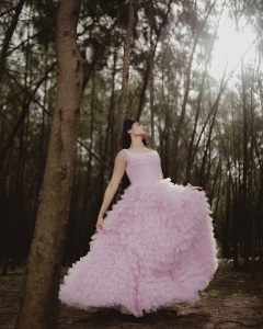 deepti-sati-in-cinderella-gown-dress-images-016