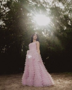 deepti-sati-in-cinderella-gown-dress-images