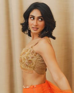 deepti-sati-in-kalyan-navratri-function-dress-photos-014