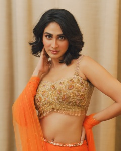 deepti-sati-in-kalyan-navratri-function-dress-photos-015