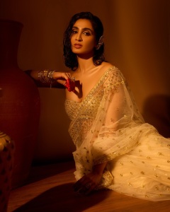 deepti-sati-in-party-wear-saree-with-blouse-style-photos-001