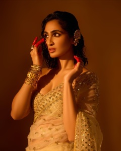deepti-sati-in-party-wear-saree-with-blouse-style-photos-002