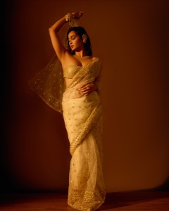deepti-sati-in-party-wear-saree-with-blouse-style-photos-003
