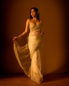 deepti-sati-in-party-wear-saree-with-blouse-style-photos-004