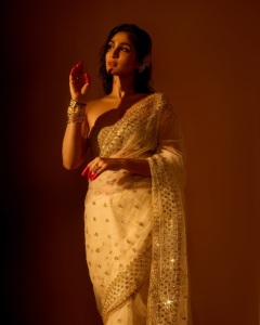 deepti-sati-in-party-wear-saree-with-blouse-style-photos-006