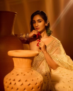 deepti-sati-in-party-wear-saree-with-blouse-style-photos