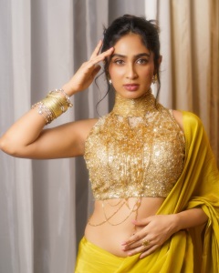 deepti-sati-in-saree-latest-photos-011