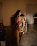 deepti-sati-in-saree-with-blouse-ideas-photos-023