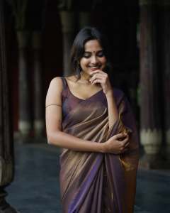 devika-sanjay-in-violet-tissue-saree-photos-006