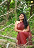 esther-anil-in-saree-latest-photos-317