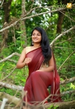 esther-anil-in-saree-latest-photos-444