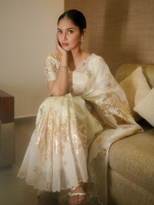 gayathri-suresh-in-onam-saree-and-blouse-outfit-ideas-photos-008