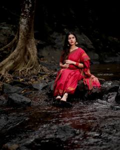 gayathri-suresh-in-saree-photos-latest-hd-005
