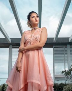 gayathri suresh instagram pics-005