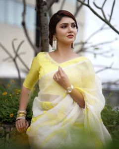 gayathri-suresh-latest-saree-images-03
