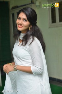 gayathri-suresh-photos-111-01385