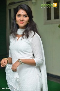 gayathri-suresh-photos-111-01421