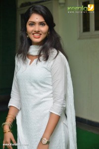 gayathri-suresh-photos-111-01537