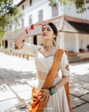 gayathri-suresh-kerala-saree-photos-018