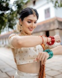 gayathri-suresh-kerala-saree-photos-019