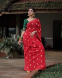 gayathri-suresh-new-red-saree-photos-001