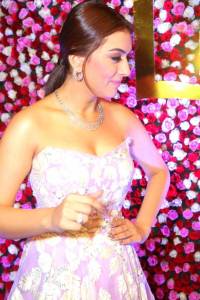 hansika-motwani-latest-pics-100-02530