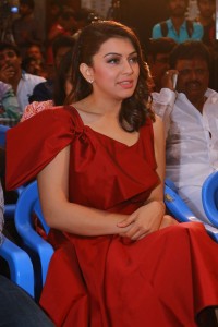 hansika-motwani-photos-download-0921-00670