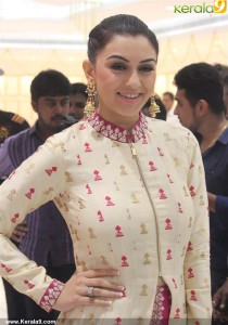 hansika-motwani-pictures-300-0022
