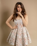 hansika-motwani-birthday-dress-photos