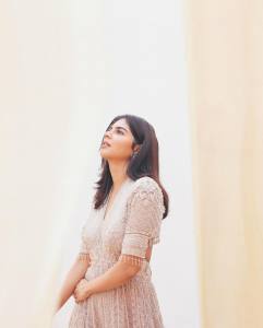 actress-kalyani-priyadarshan-new-photos-in-Peach-colour-gown-001