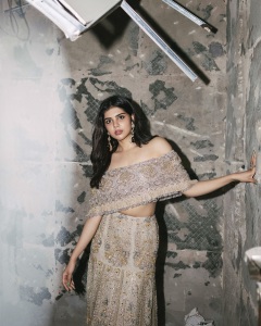 kalyani-priyadarshan-in-off-shoulder-gown-dress-golden-colour-photos-001