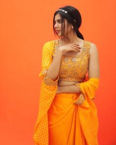 kalyani-priyadarshan-in-orange-shade-dress-photos