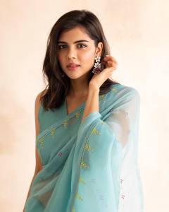 kalyani-priyadarshan-new-photos-in-saree-091-001