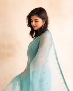 kalyani-priyadarshan-new-photos-in-saree-091-004
