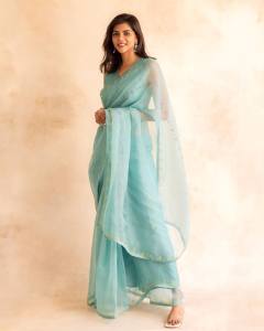 kalyani-priyadarshan-new-photos-in-saree-091-006