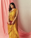 kalyani-priyadarshan-in-mango-yellow-saree-with-style-ideas-photos-005