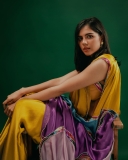 kalyani-priyadarshan-new-photos-in-Yellow-saree-091