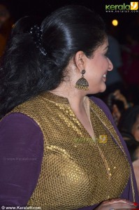 kavya-madhavan-photos-gallery-05172
