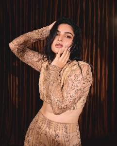 kayadu-lohar-bottom-pants-with-crop-top-photos-006
