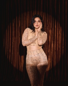 kayadu-lohar-bottom-pants-with-crop-top-photos-012