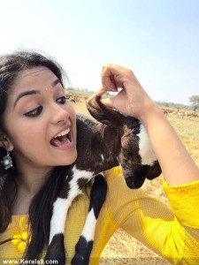 keerthi-suresh-latest-stills-00198