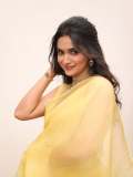 keerthy-suresh-in-yellow-saree-with-makeup-look-photos-009