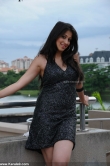 6493lakshmi_rai_latest_photos_56-005