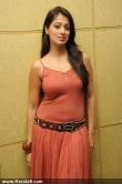 lakshmi-rai-latest-photos-02478