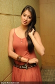 lakshmi-rai-latest-stills-00732