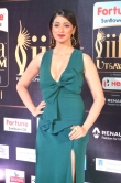lakshmi-rai-pictures-00449