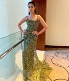 raai-laxmi-in-classic-green-lizard-dress-photos-010
