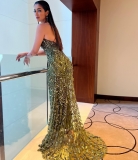 raai-laxmi-in-classic-green-lizard-dress-photos-013