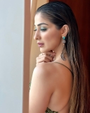 raai-laxmi-in-classic-green-lizard-dress-photos